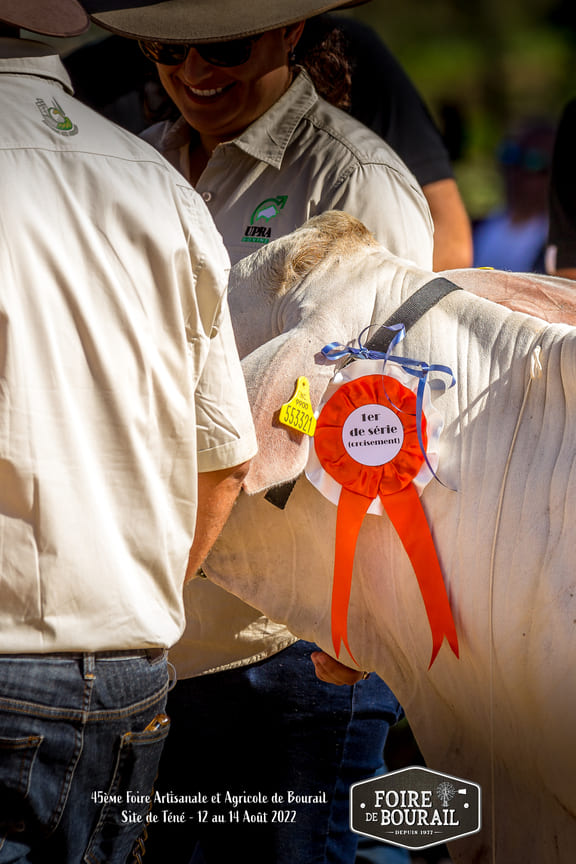 Foire de Bourail 12 août 2022-48-2.jpg